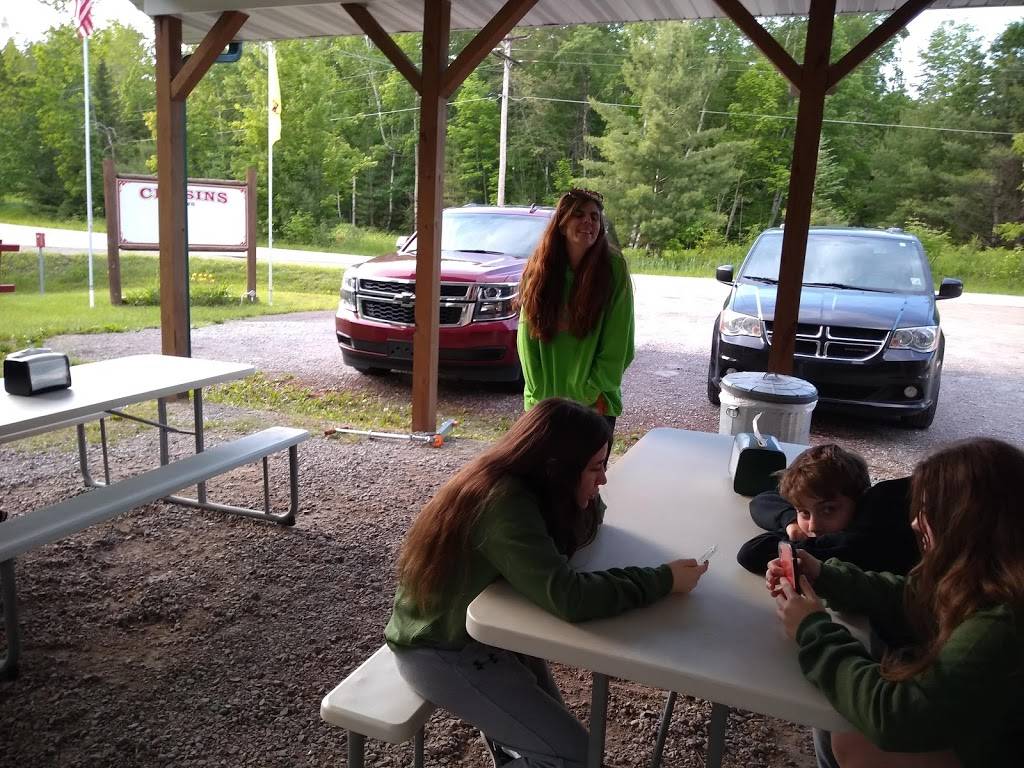 Crusins | restaurant | 476 N Sage Lake Rd, Hale, MI 48739, USA | 9894739256 OR +1 989-473-9256