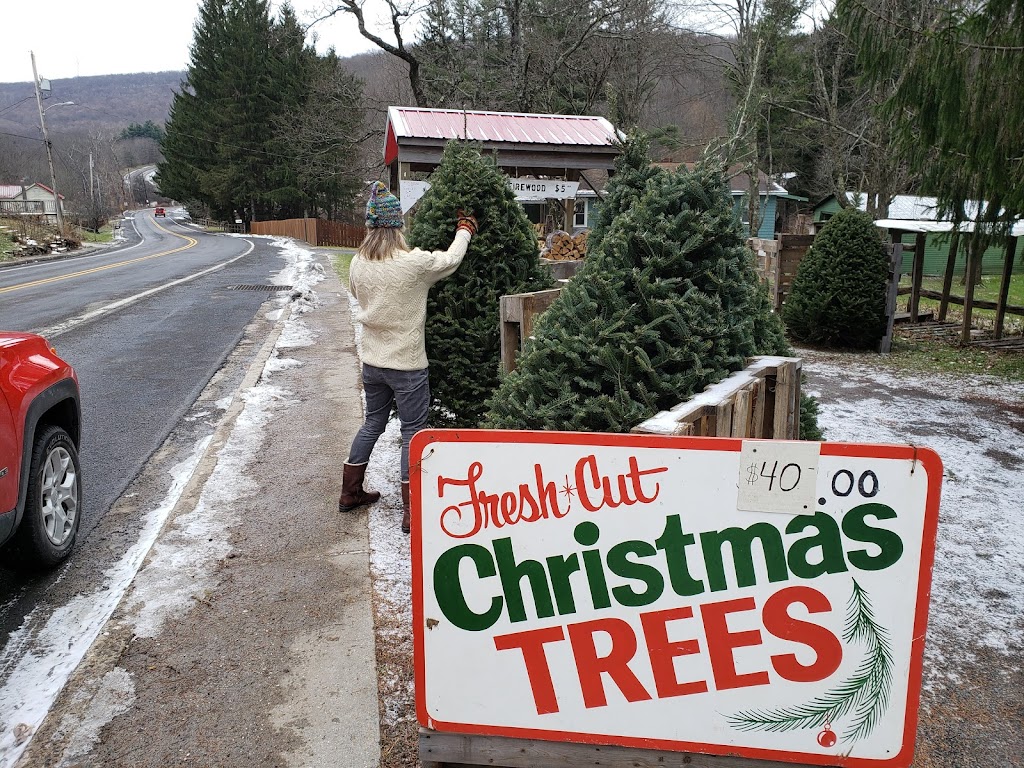 Deep Creek Grocery Gas & Liquor | meal takeaway | 3562 Swanton Rd, Swanton, MD 21561, USA | 3013875701 OR +1 301-387-5701