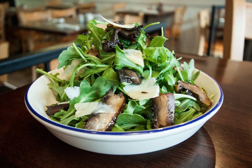 YAYA | restaurant | 1186 Queen St E, Toronto, ON M4M 1L4, Canada | 4164639292 OR +1 416-463-9292