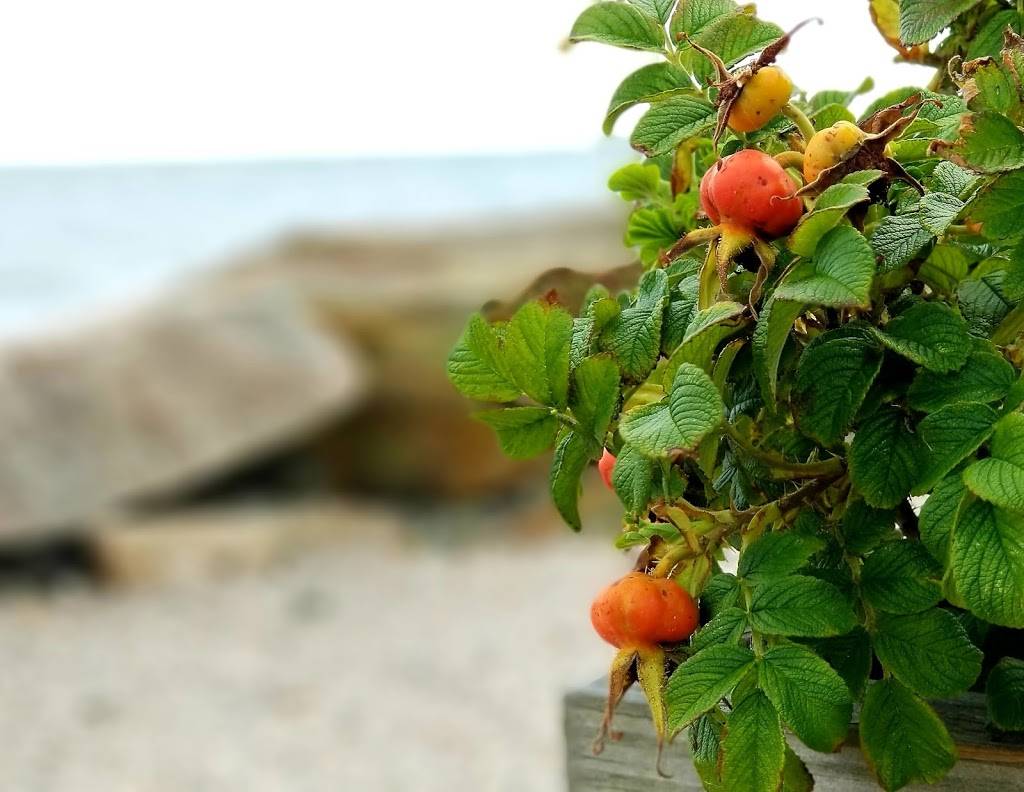 Pas Place | restaurant | 514 Whitfield St, Guilford, CT 06437, USA | 2036895526 OR +1 203-689-5526