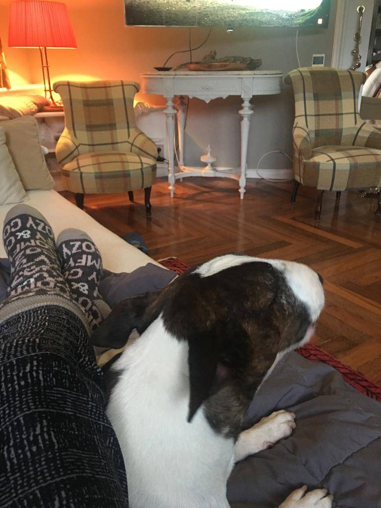 Dominos Pizza | meal delivery | 201 Pacific Coast Hwy, Hermosa Beach, CA 90254, USA | 3103183344 OR +1 310-318-3344