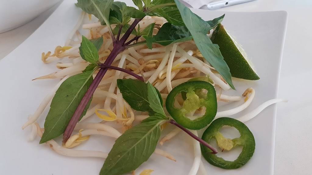 Pho Please | restaurant | 1920 E Riverside Dr, Austin, TX 78741, USA | 5123549779 OR +1 512-354-9779