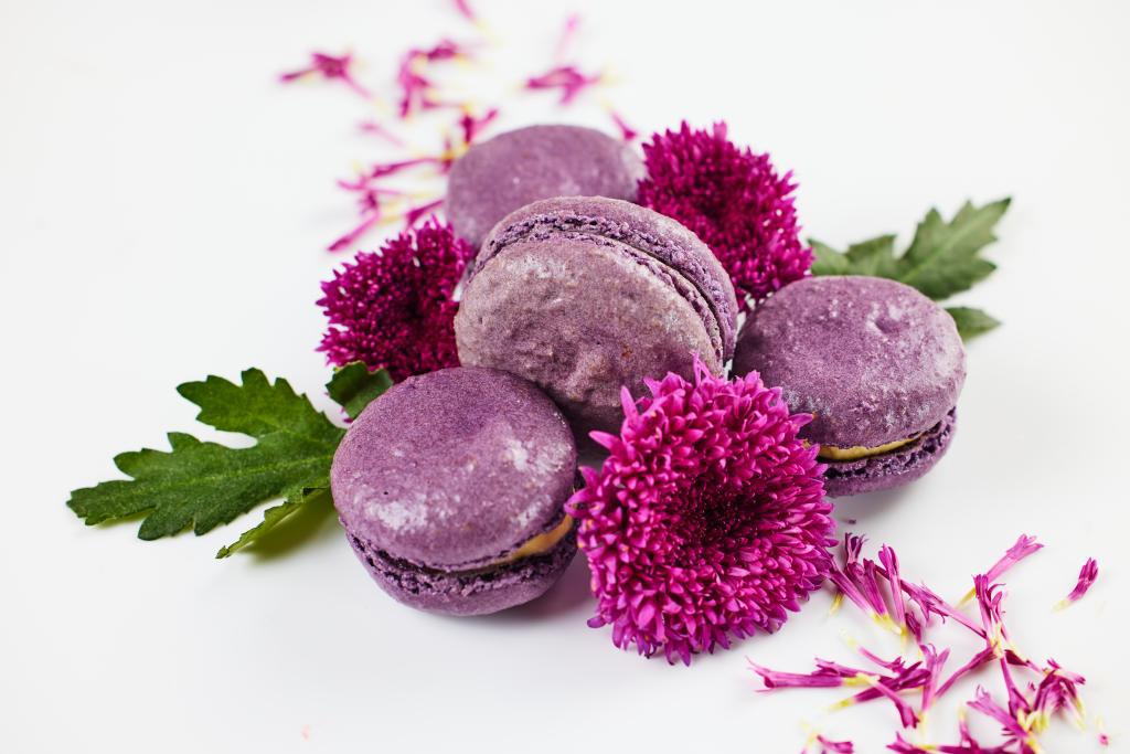 Janette & Co. | bakery | 1640 W 33rd Pl, Hialeah, FL 33016, USA | 3053598091 OR +1 305-359-8091