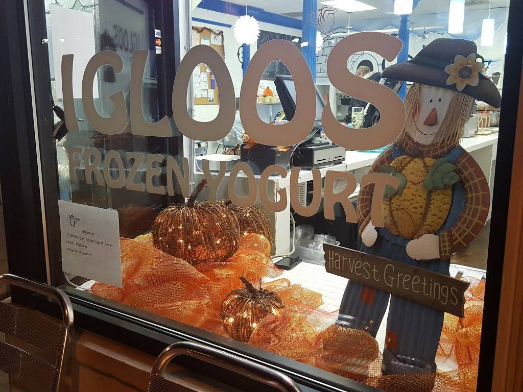 Igloo Frozen Yogurt and Treats | meal takeaway | 44 Front St, Berea, OH 44017, USA | 4402348744 OR +1 440-234-8744