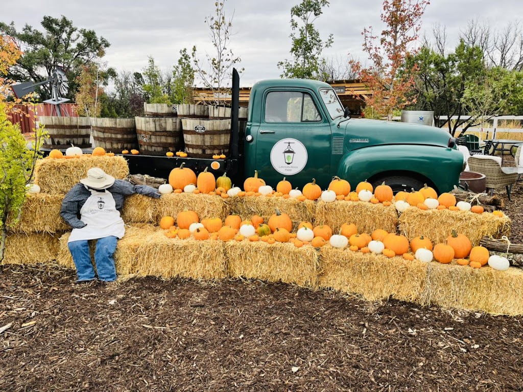 Lantern Ridge Farm Market + Nursery | restaurant | 12540 NM-14, Sandia Park, NM 87047, USA | 5053957774 OR +1 505-395-7774