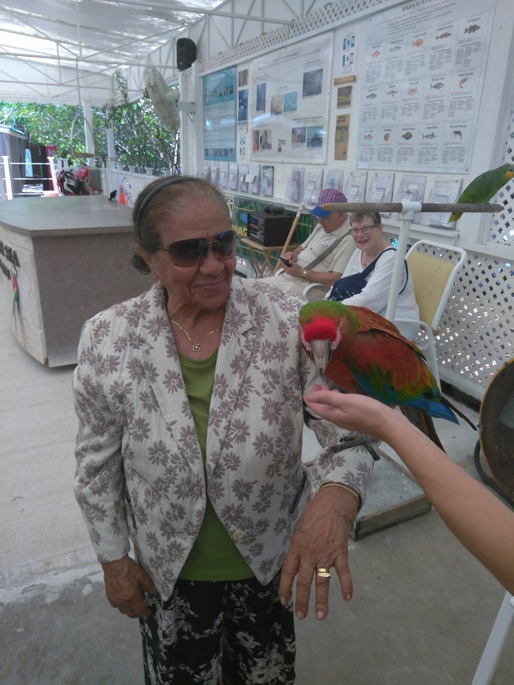 Bistro By the Sea | restaurant | 364 Cards Pond Rd, Wakefield, RI 02879, USA | 4017893030 OR +1 401-789-3030