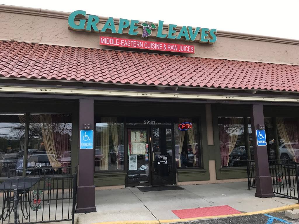 Grape Leaves Restaurant | restaurant | 29181 Northwestern Hwy, Southfield, MI 48034, USA | 2483590000 OR +1 248-359-0000