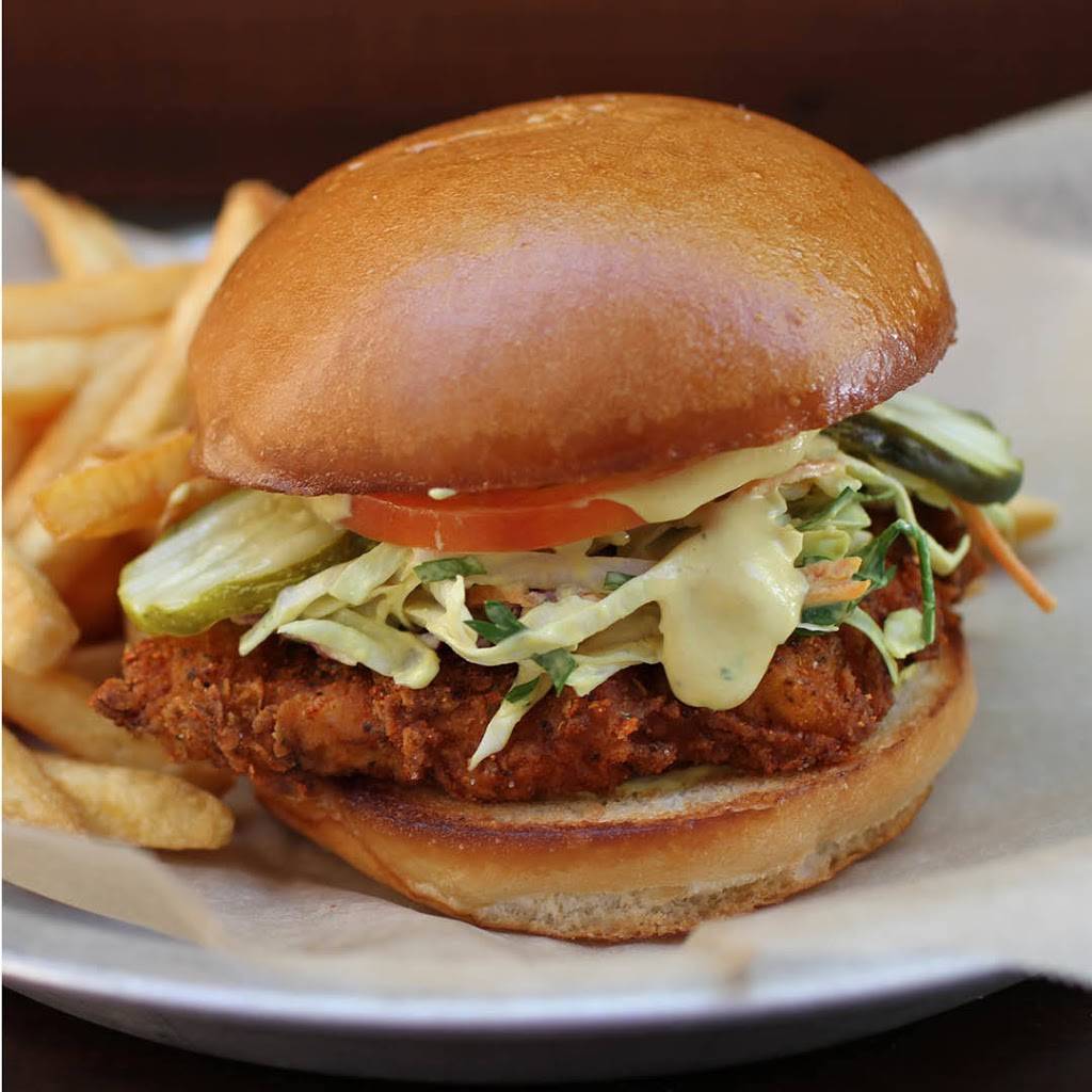 Lazy Dog Restaurant & Bar | restaurant | 1851 N Central Expy, Allen, TX 75013, USA | 4693934119 OR +1 469-393-4119