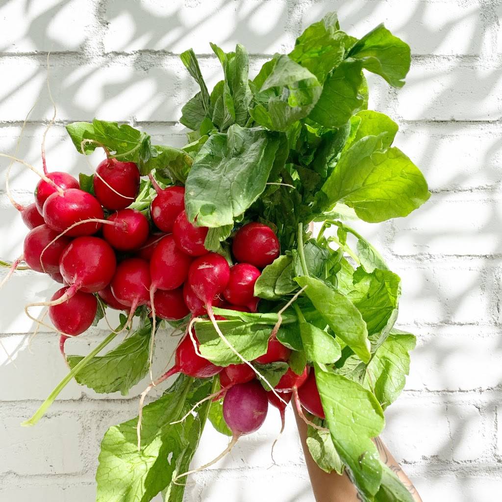 HOJA | restaurant | 1284 S Pearl St, Denver, CO 80210, USA | 3037775919 OR +1 303-777-5919