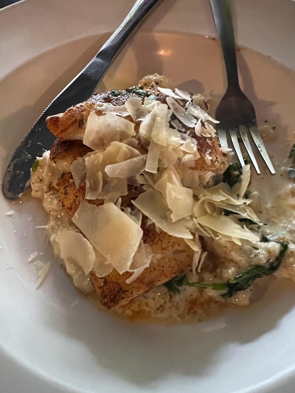 Bella Bella | restaurant | 123 E 5th Ave, Tallahassee, FL 32303, USA | 8504121114 OR +1 850-412-1114