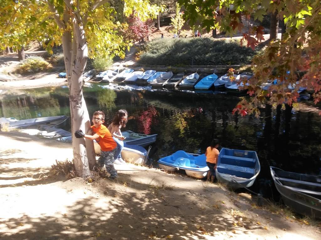 Malt Shoppe At the Cabin Fever | restaurant | 33249 Green Valley Lake Rd, Green Valley Lake, CA 92341, USA | 9099390515 OR +1 909-939-0515