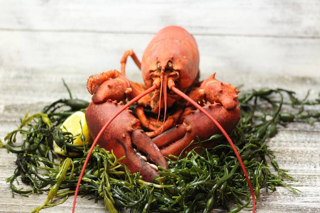 Catch 35 Naperville | restaurant | 35 S Washington St, Naperville, IL 60540, USA | 6307173500 OR +1 630-717-3500