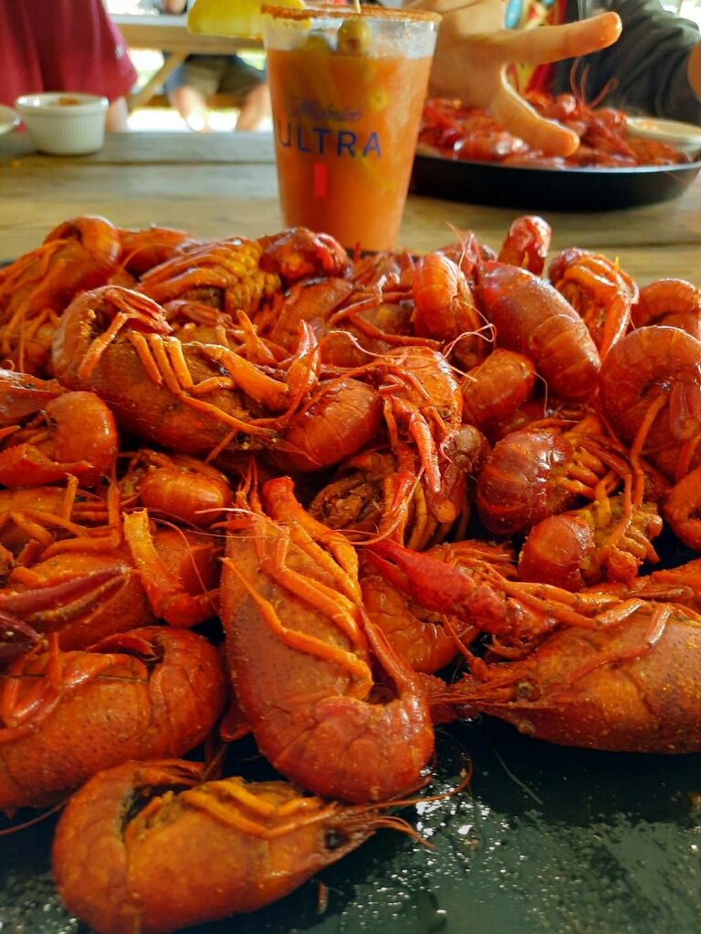 Roots Restaurant | restaurant | 329 Dulles Dr, Lafayette, LA 70506, USA | 3375340080 OR +1 337-534-0080