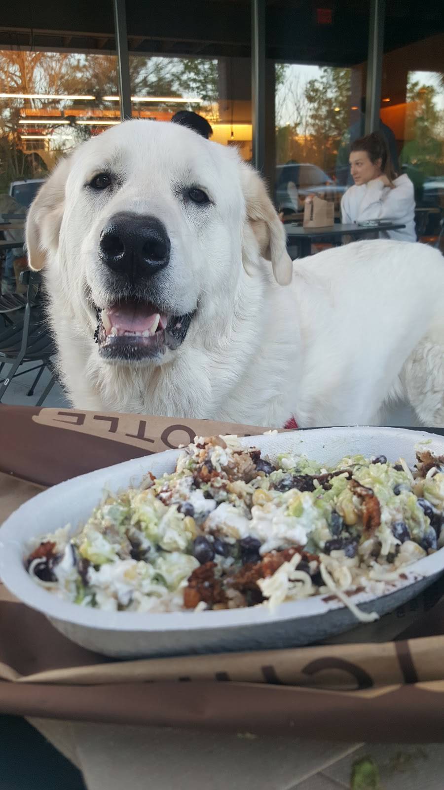 Chipotle Mexican Grill | restaurant | 619 Gervais St, Columbia, SC 29201, USA | 8032237801 OR +1 803-223-7801