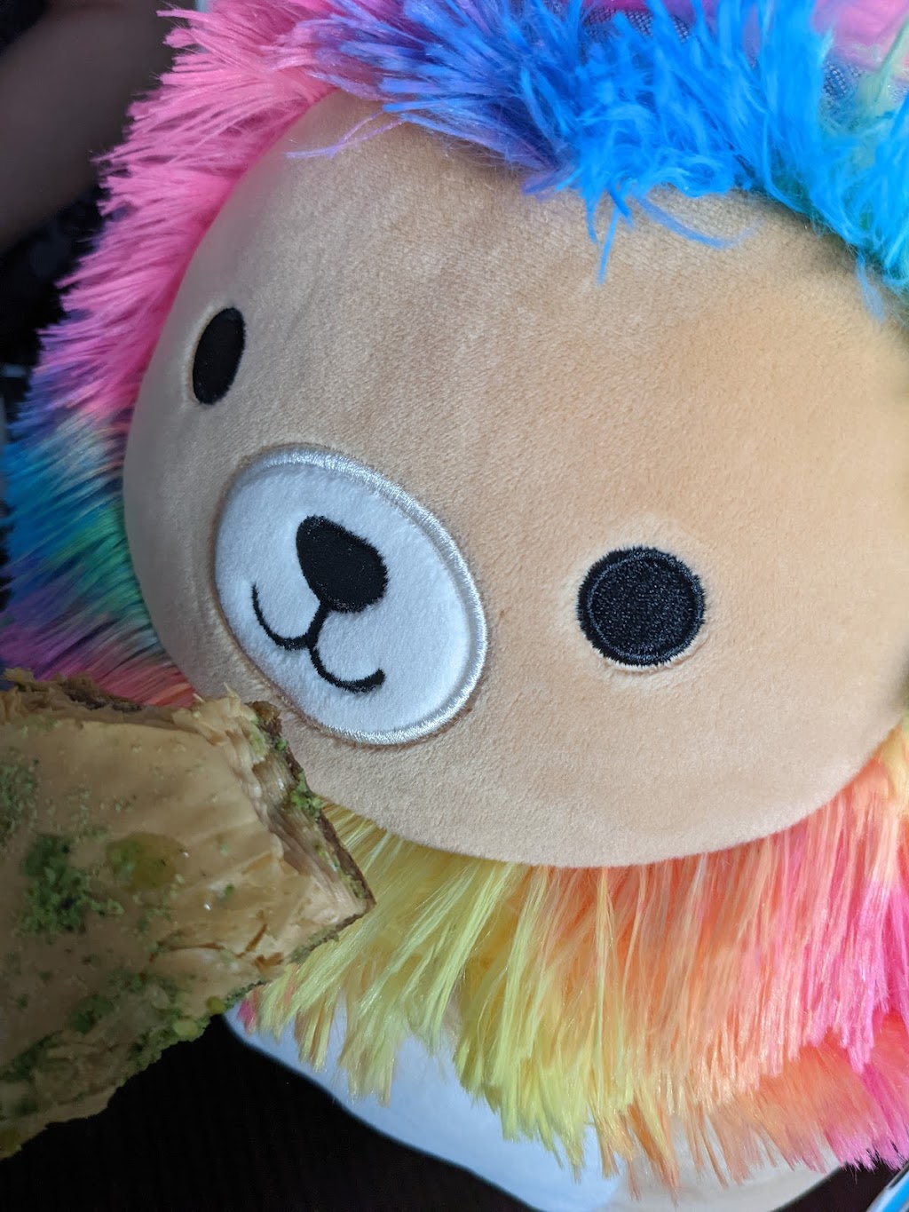 The Gyros Grill | restaurant | 925 Blossom Hill Rd #1641, San Jose, CA 95123, USA | 4088761234 OR +1 408-876-1234