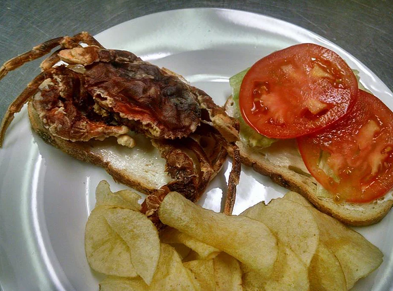 Owls Club Nest 4002 | restaurant | 316 B S Jefferson St, Frederick, MD 21701, USA | 3016989797 OR +1 301-698-9797