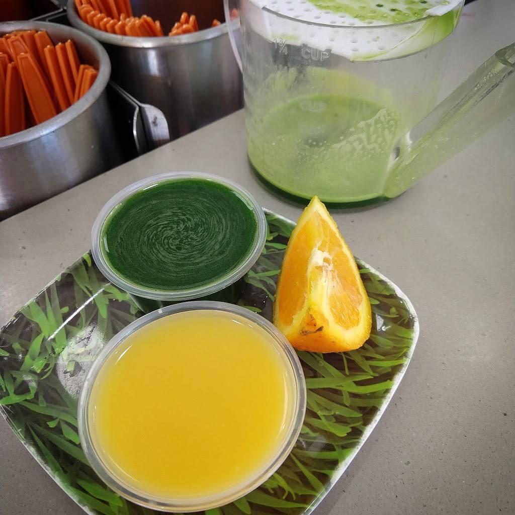 Jamba Juice | restaurant | 2029 Camden Ave, San Jose, CA 95124, USA | 4086269842 OR +1 408-626-9842