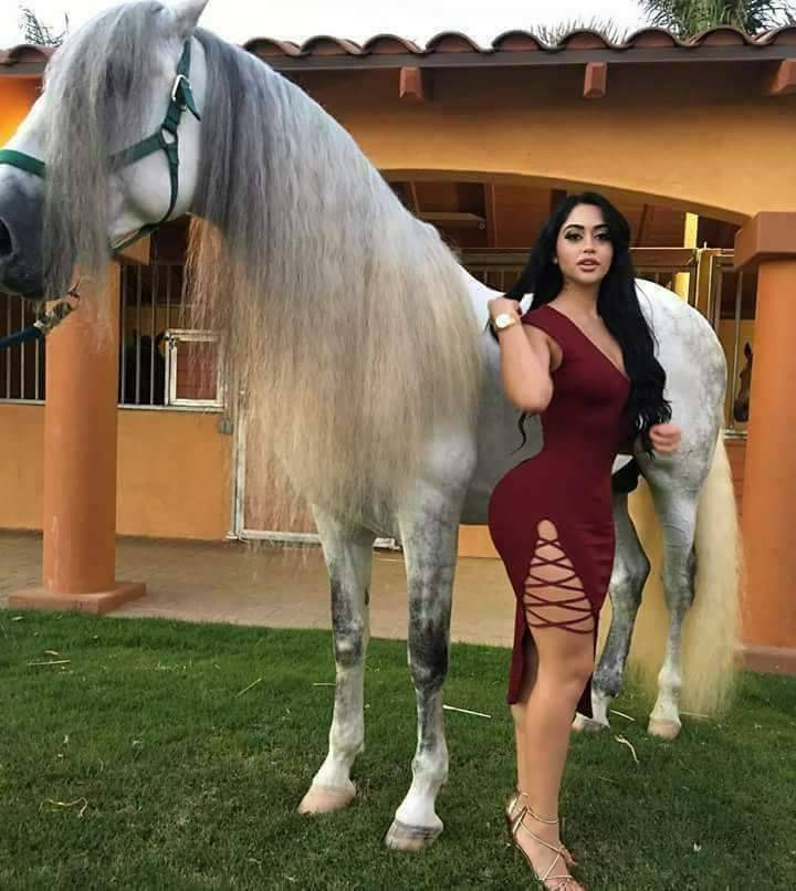 Maggie Gyros & Philly Inc | restaurant | 5458 S Halsted St, Chicago, IL 60609, USA | 7735483333 OR +1 773-548-3333