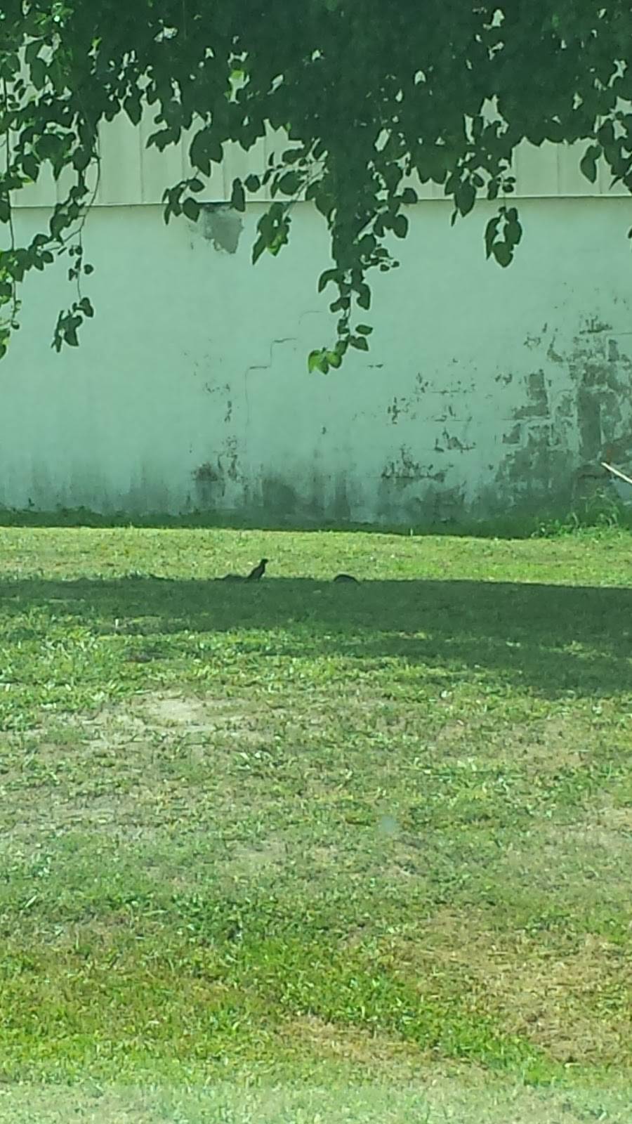 Anderson Road Cafe | restaurant | 6002 Anderson Rd, Tampa, FL 33634, USA | 8138819126 OR +1 813-881-9126