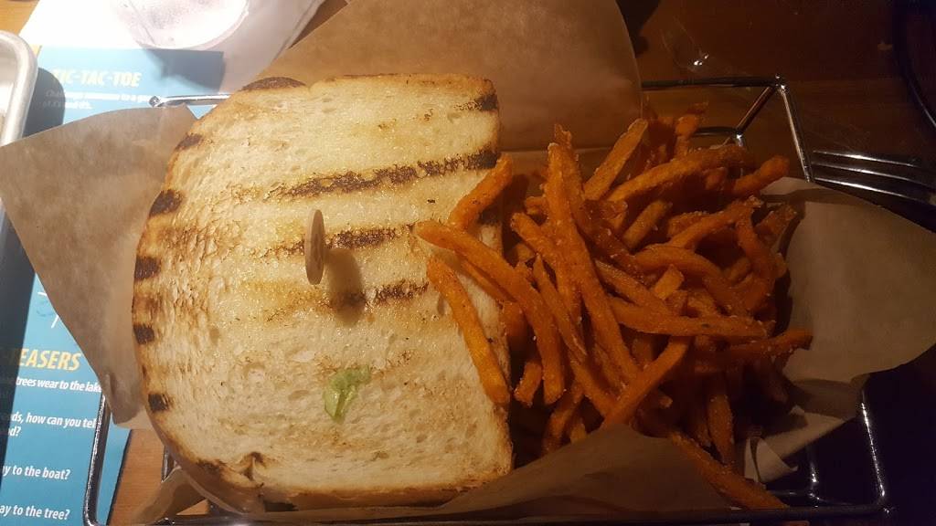 Camp Critter Bar & Grill | restaurant | 3575 US-31, Traverse City, MI 49684, USA | 2319413600 OR +1 231-941-3600