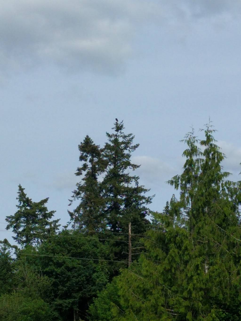 Meriwether National Golf Club | restaurant | 5200 SW Rood Bridge Rd, Hillsboro, OR 97123, USA | 5036484143 OR +1 503-648-4143