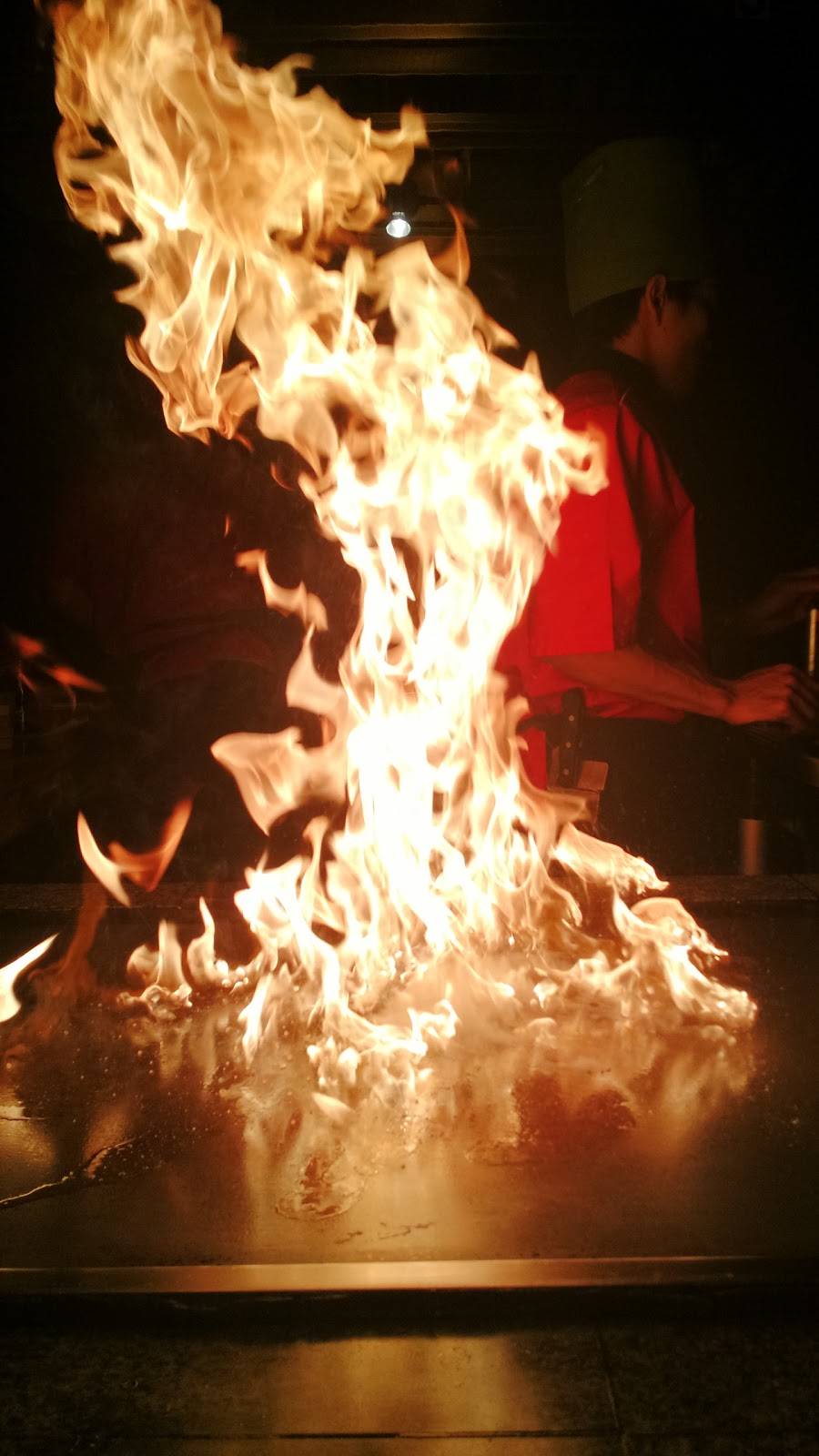 EDO Japanese Steakhouse and Sushi Bar | restaurant | 4500 66th St N, St. Petersburg, FL 33709, USA | 7275498106 OR +1 727-549-8106