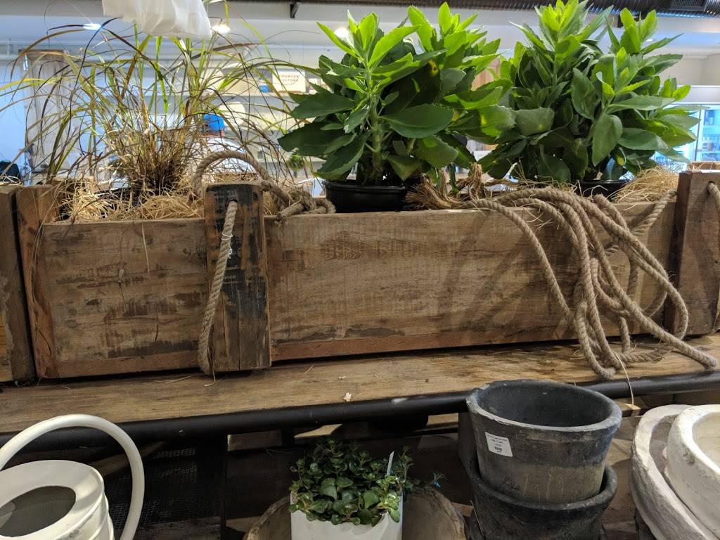 Village Point Market LLC | meal takeaway | 620 Red Banks Rd, Greenville, NC 27858, USA | 2523213663 OR +1 252-321-3663