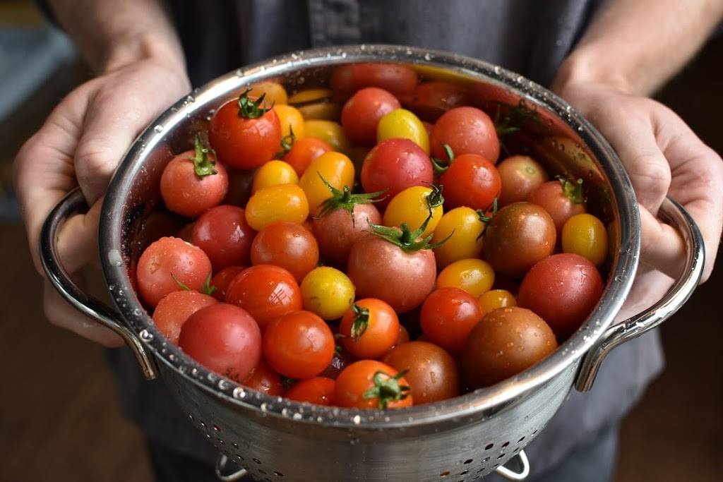 Vinaigrette Salad Kitchen | restaurant | 3735 Palomar Centre Dr Suite 180, Lexington, KY 40513, USA | 8597212376 OR +1 859-721-2376