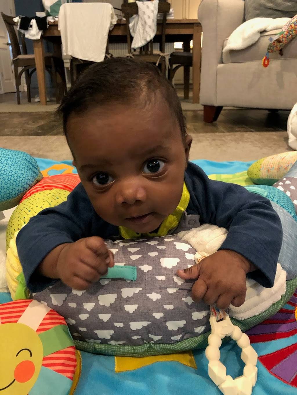 Wendys | restaurant | 8330 N Florida Ave, Tampa, FL 33604, USA | 8139323580 OR +1 813-932-3580