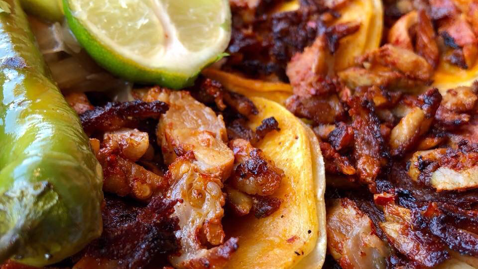 El Patron Tacos y Tortas al 100 | restaurant | 212 E Spring Valley Rd, Richardson, TX 75081, USA | 4693177474 OR +1 469-317-7474