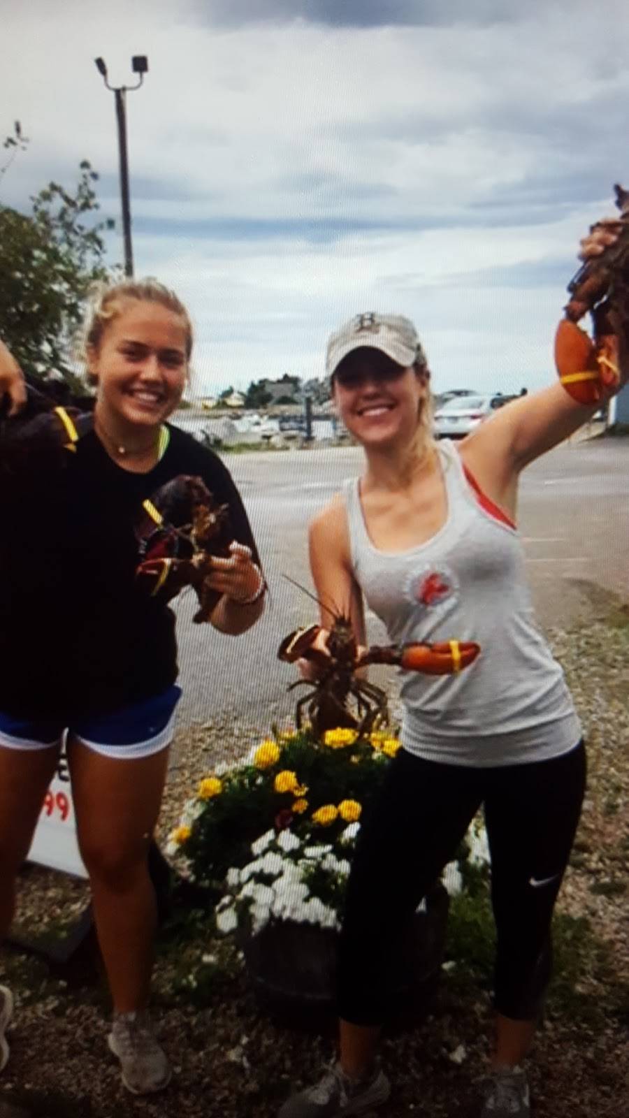 Rye Harbor Lobster | restaurant | 1870 Ocean Blvd, Rye, NH 03870, USA | 6039647845 OR +1 603-964-7845