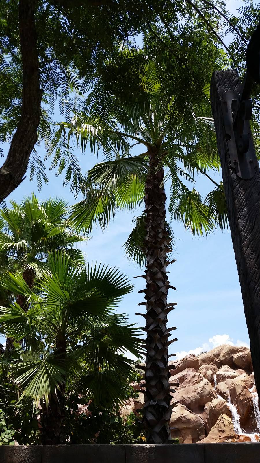 Diners Reef Dining Facility | restaurant | 8118 Hillsborough Loop Dr, Tampa, FL 33621, USA | 8138284998 OR +1 813-828-4998