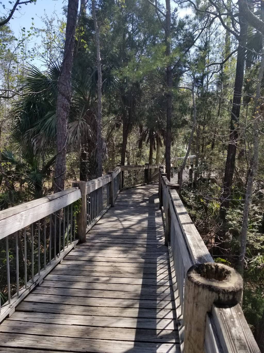 Palmetto Islands County Park | meal takeaway | 444 Needlerush Pkwy, Mt Pleasant, SC 29464, USA | 8437954386 OR +1 843-795-4386