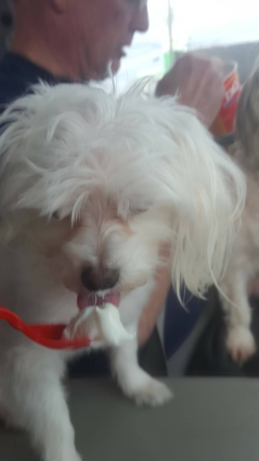 Dairy Queen Grill & Chill | restaurant | 1493 Herminie West Newton Rd, Herminie, PA 15637, USA | 7244461333 OR +1 724-446-1333