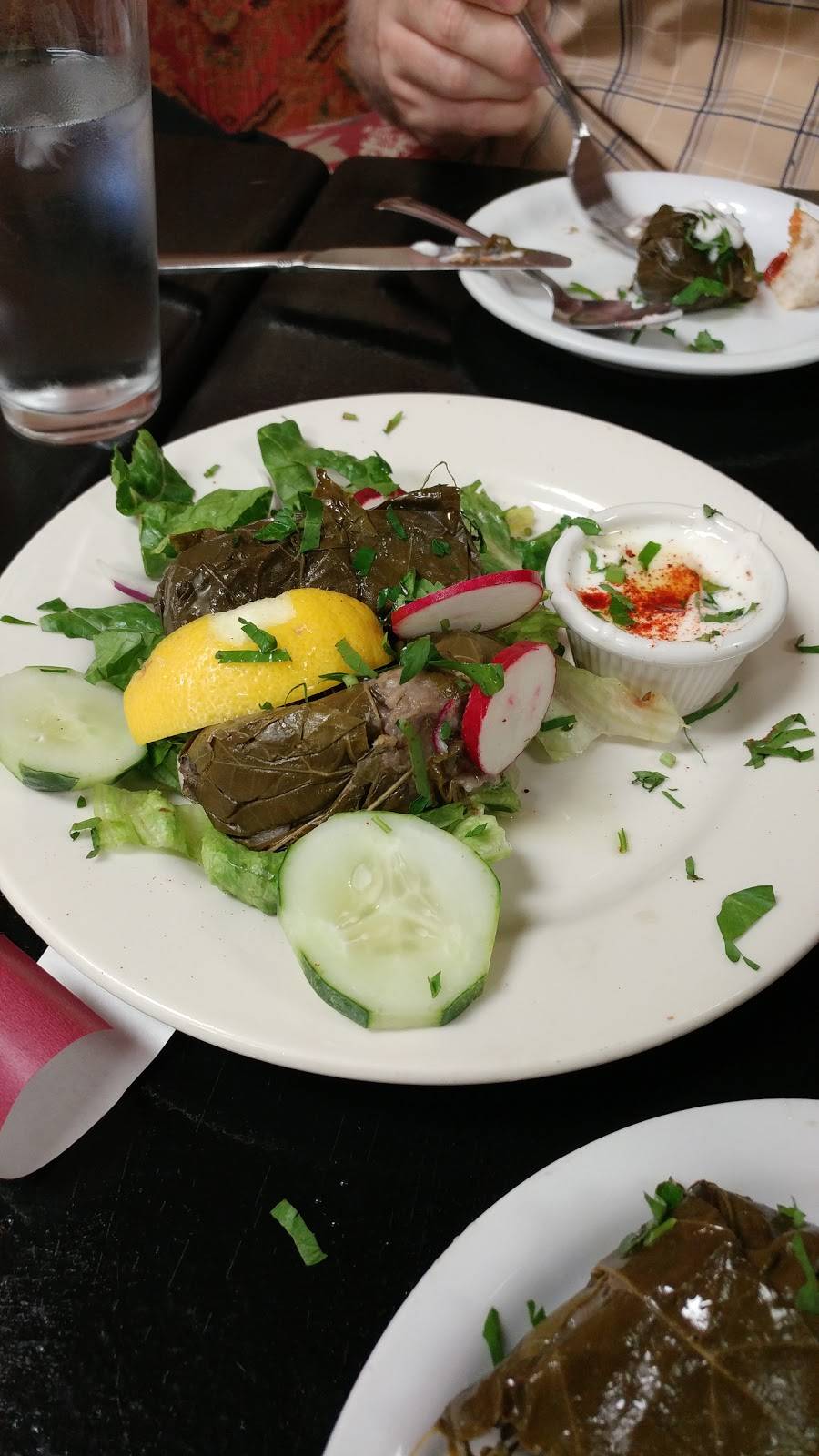 Cafe Orchid | restaurant | 1746 W Addison St, Chicago, IL 60613, USA | 7733273808 OR +1 773-327-3808