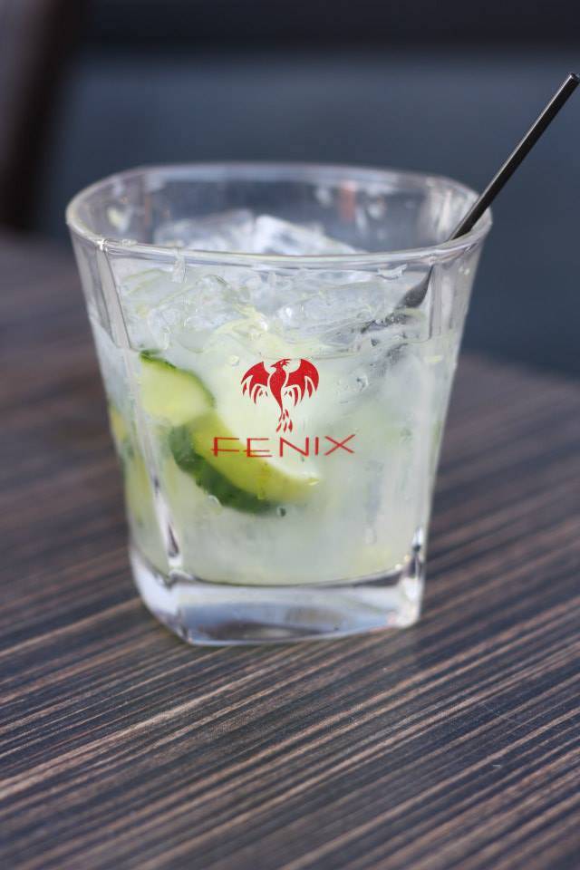 The Fenix Bar & Lounge | night club | 193 Bridge St, Phoenixville, PA 19460, USA | 4849248264 OR +1 484-924-8264