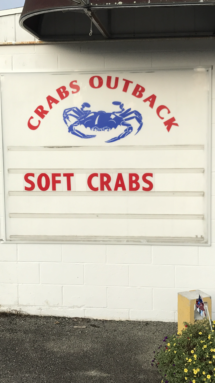 Crabs Out Back | restaurant | 2349, 305 W Main St, Rising Sun, MD 21911, USA | 4106583636 OR +1 410-658-3636