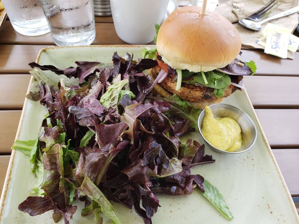 First Watch - Viera | restaurant | 2328 Citadel Way #104, Melbourne, FL 32940, USA | 3214737210 OR +1 321-473-7210