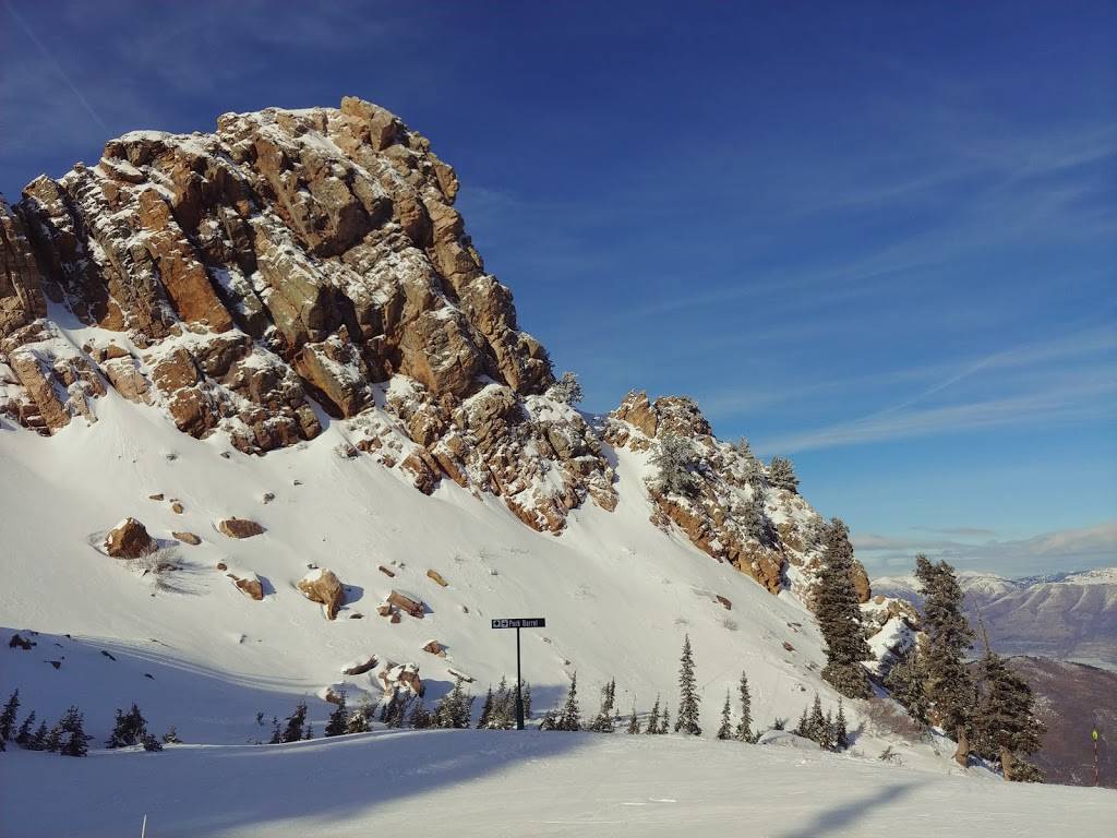 Needles Lodge | restaurant | 3925 E Snow Basin Rd, Huntsville, UT 84317, USA | 8016201000 OR +1 801-620-1000