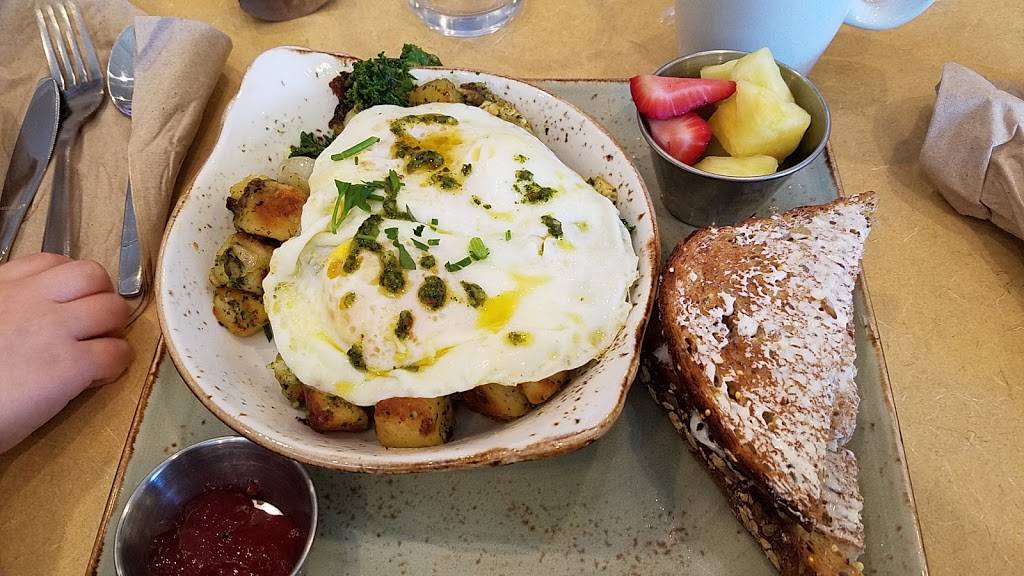 First Watch - Dayton Mall | restaurant | 2824 Miamisburg Centerville Rd, Dayton, OH 45459, USA | 9374353127 OR +1 937-435-3127