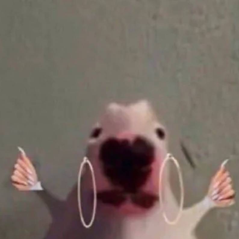 Avocados Bohemia NY Mexican-American Grill | restaurant | 1360 Lakeland Ave, Bohemia, NY 11716, USA | 6317503820 OR +1 631-750-3820