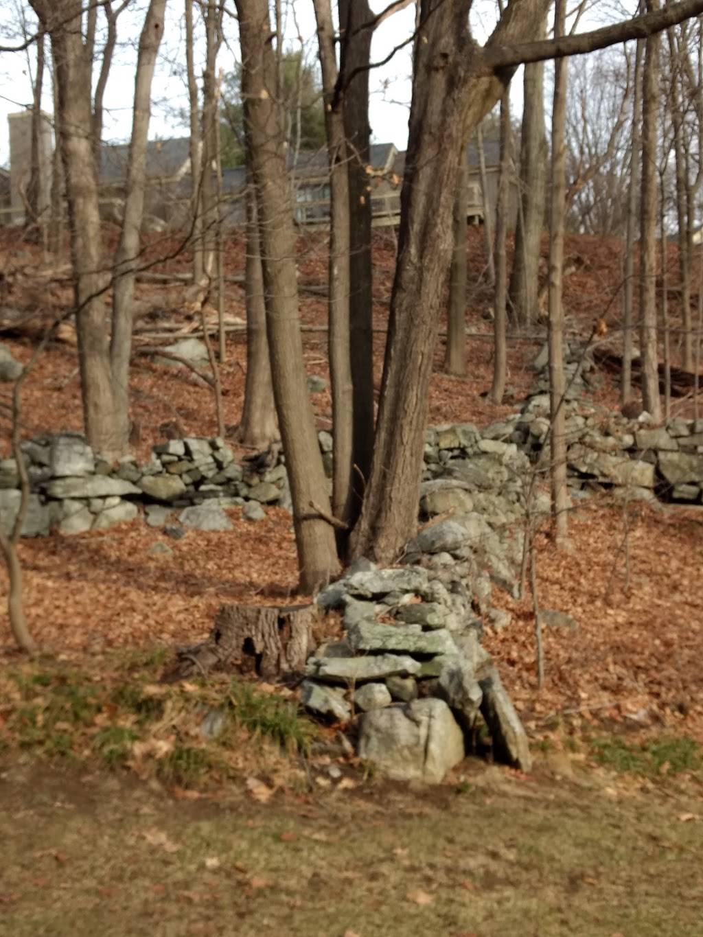 Somers National Golf Club | restaurant | 1000 West Hill Dr N, Somers, NY 10589, USA | 9142761000 OR +1 914-276-1000