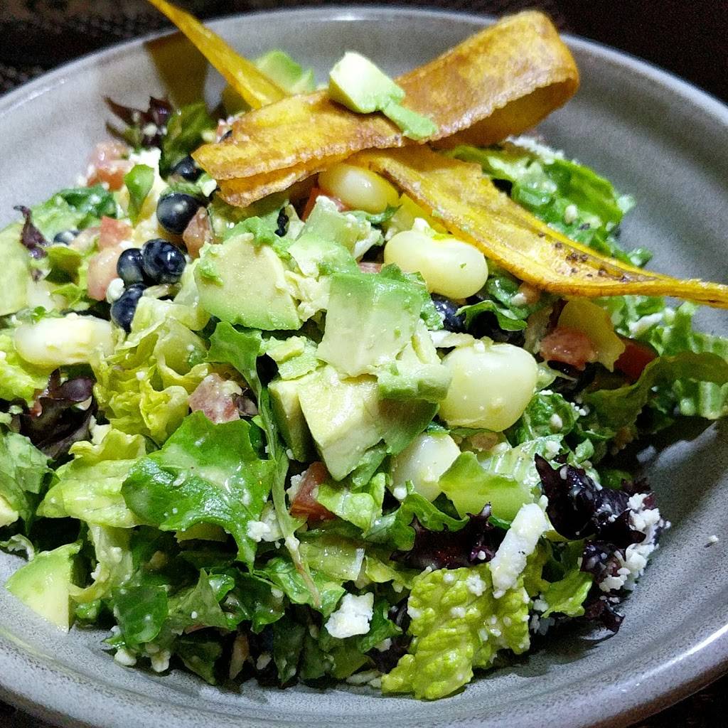 Darwin Evolutionary Cuisine | restaurant | 4141 S Tamiami Trail Suite#16, Sarasota, FL 34231, USA | 9412605964 OR +1 941-260-5964