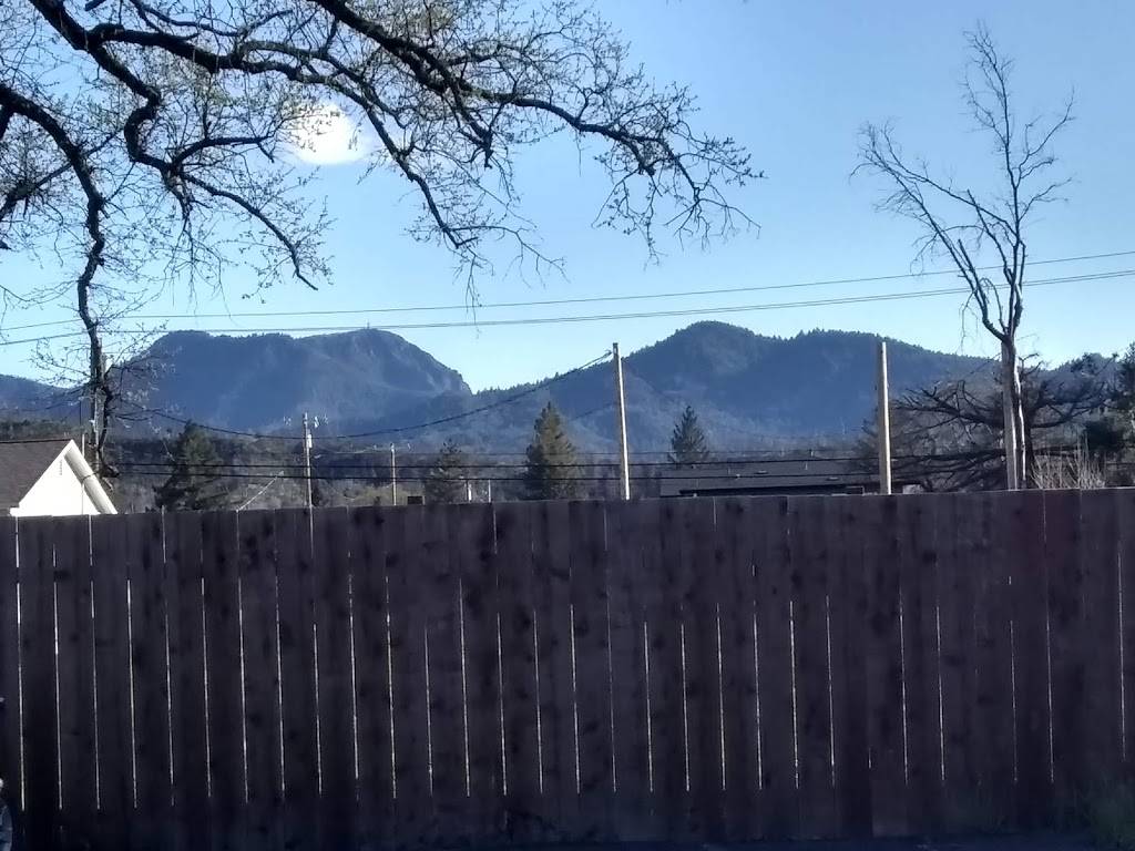 Jolly Kone | restaurant | 21016 State Rte 29, Middletown, CA 95461, USA | 7079879700 OR +1 707-987-9700