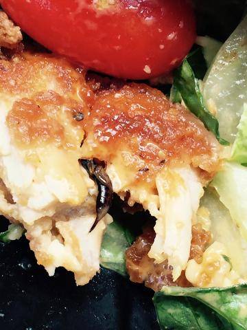 Wendys | restaurant | 5150 Pennell Rd, Media, PA 19063, USA | 6104850711 OR +1 610-485-0711