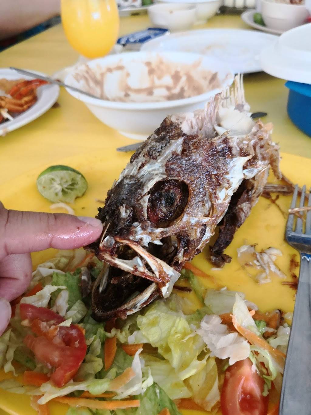 Restaurant Bar El Guero | restaurant | Anzuelo 15, Puerto Nuevo, 22716 Rosarito, B.C., Mexico | 016616141702 OR +52 661 614 1702