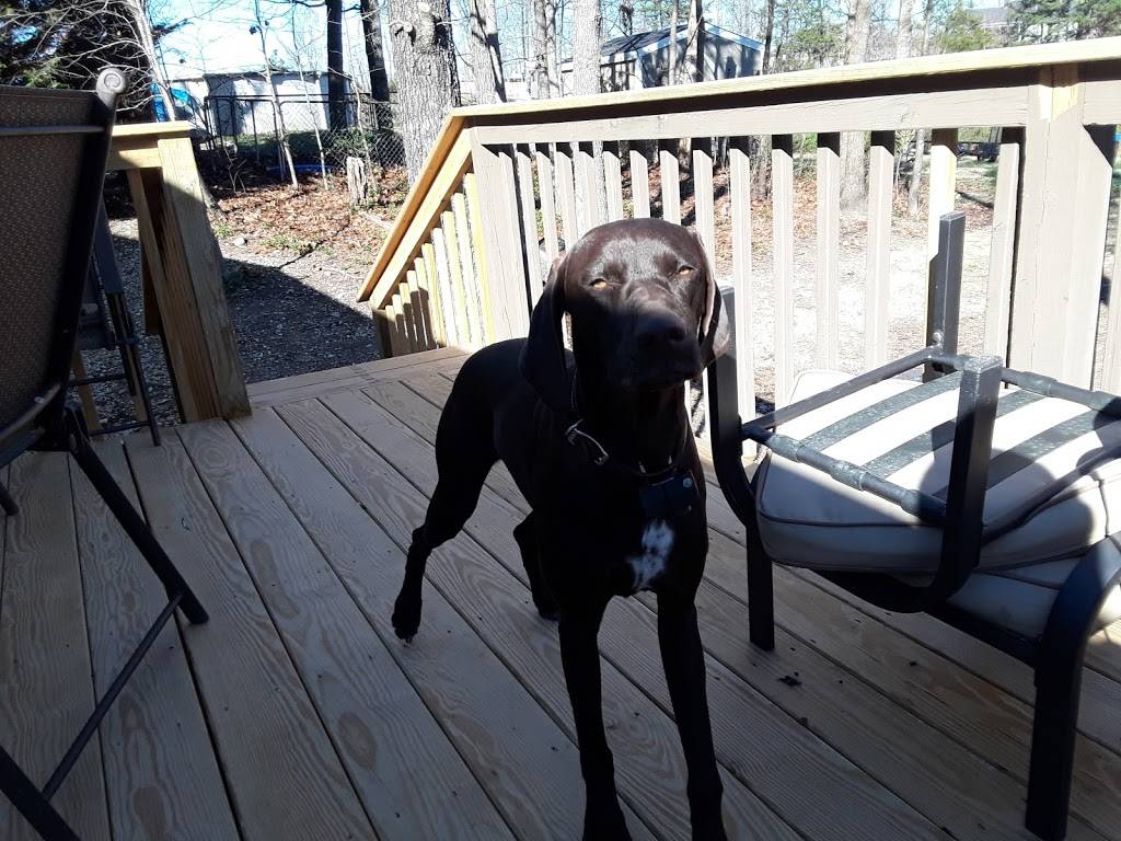 Lisas Sweet Treats | meal takeaway | 10211 Baker Boy Dr, Ooltewah, TN 37363, USA | 4233260873 OR +1 423-326-0873