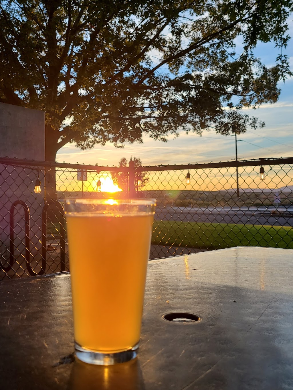 The Dive | restaurant | 2000 Logston Blvd, Richland, WA 99354, USA | 5093163483 OR +1 509-316-3483