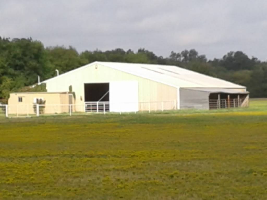 Los Potrillos Taqueria | restaurant | 2348 S Beltline Rd, Dallas, TX 75253, USA | 9722861600 OR +1 972-286-1600