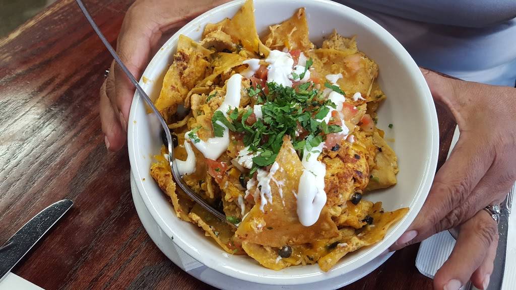 Blu Jam Cafe | cafe | 23311 Mulholland Dr, Woodland Hills, CA 91364, USA | 8182221044 OR +1 818-222-1044